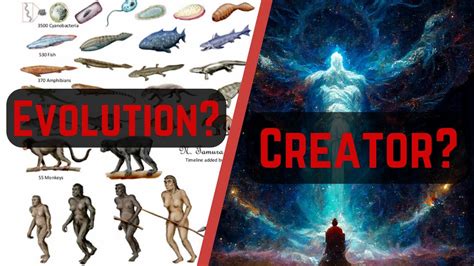 How Were Humans Formed 的图像结果