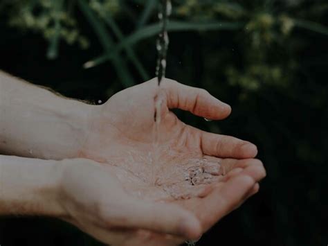 The fourth phase of water | Meer