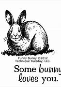Image result for Cute Funny Bunnies in Spring