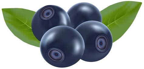 Blueberry Clipart