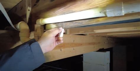 Image result for Mold Testing Flare