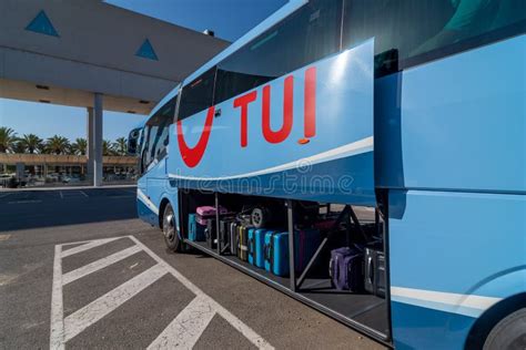 Image result for Tui Local Bus
