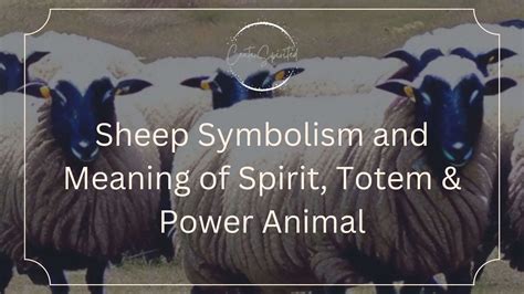 Sheep Symbolism and Meaning of Spirit, Totem & Power Animal