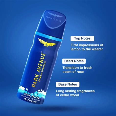 Buy PARK AVENUE COOL BLUE PERFUME FOR MEN FRESH LONG LASTING FRAGRANCE ...