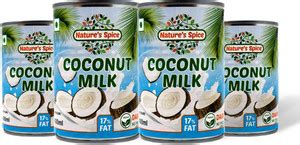 Nature's Spice Coconut Milk With 17% Fat - 1600 ml Price in India - Buy ...
