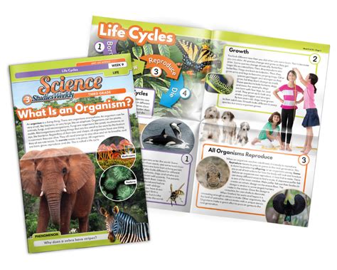 Science Studies 的图像结果