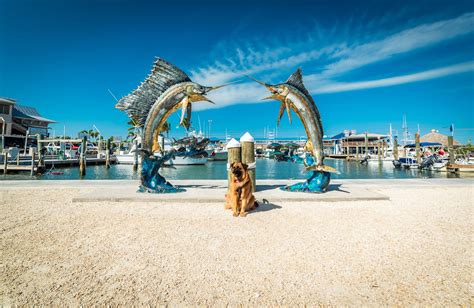 Image result for Florida Poop Map