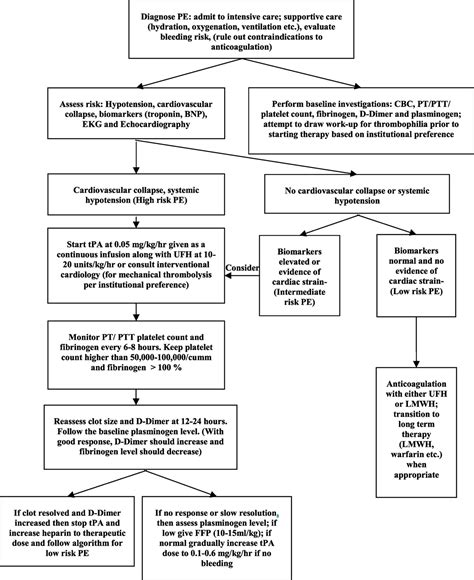 Pulmonary Embolism Algorithm 的图像结果