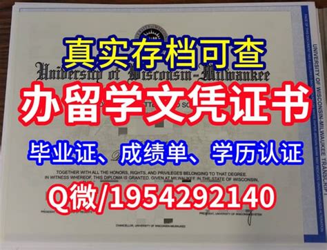 《留学生办金斯顿大学KU大学毕业证文凭证书学位证书》 | PDF