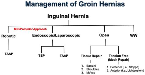 A Systematic Review of Open, Laparoscopic, and Robotic Inguinal Hernia Repair: Management of ...