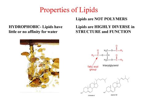 4 CLASSES OF MACROMOLECULES - ppt download