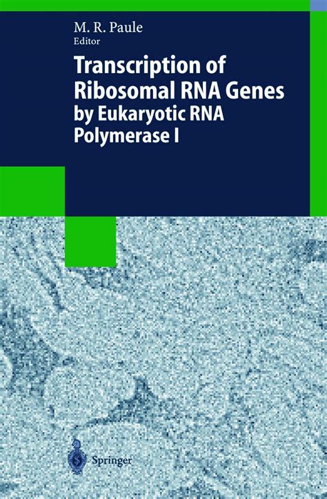 Buy Transcription of Ribosomal RNA Genes by Eukaryotic RNA Polymerase I ...