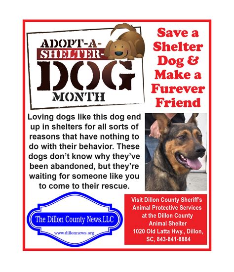 Dillon District Four Board Approves School Calendar Draft, Elects ...