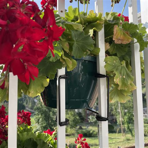 Timothy Champagne Bottoms: The Viral Sensation - Truth or Fiction