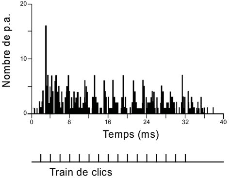 Post-Stimulus Time Histogram 的图像结果
