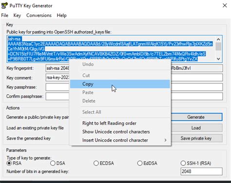 PuTTY Key 的图像结果