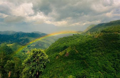 Araku Valley - Tourist Places & Top Things to Do in 2026