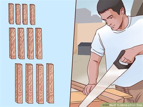 Image result for Using a Fish Trap