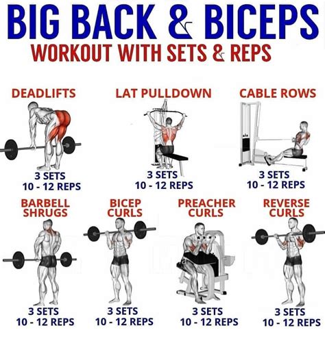 Back And Biceps Workout Gym | Biceps workout, Back and bicep workout ...