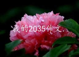 我的2035作文800字9篇（精选） - 828啦