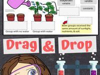 Image result for Scientific Method Middle School