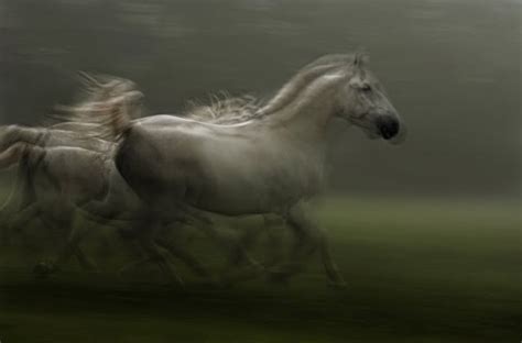 best book about street photography