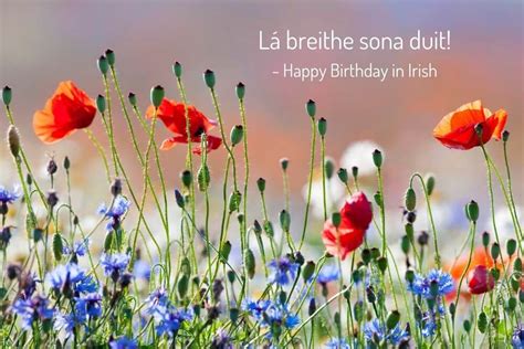 Happy Birthday In Irish: The Irish Gaelic Birthday Greetings Guide