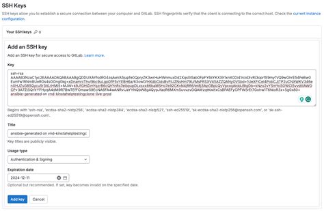 GitLab SSH Key Custom Instance 的图像结果