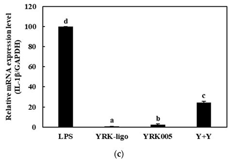 Synergistic Immunostimulatory Activities of Probiotic Strains ...