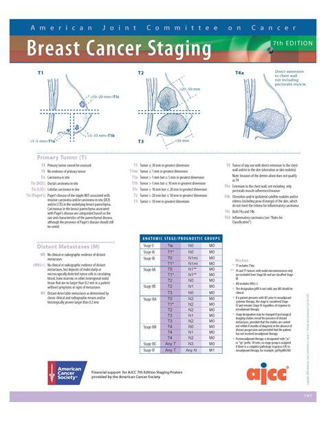 Ajcc Breast Cancer Staging 8th Edition - CancerWalls