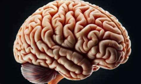 Study explores Surgical Techniques: Comparative Analysis on Repair of ...