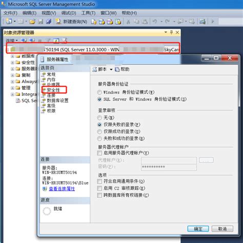 SQL Server Connect 的图像结果
