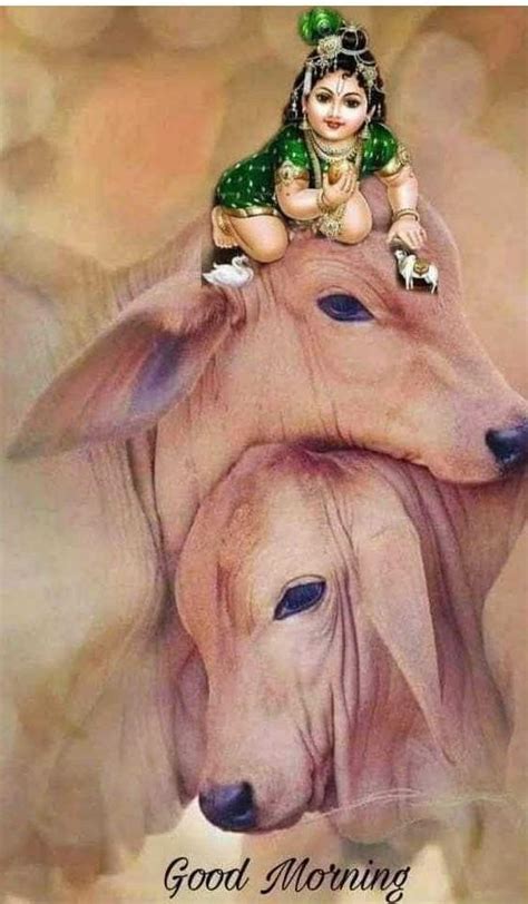 What is wrong in the following code? class Circle { public: Circle ...