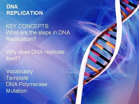 Image result for DNA Replication Explained