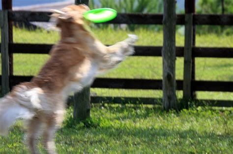 神経麻痺のMRI診断の結果はこうなりました？ | 肩のコリハリからサヨナラ #MMCスッキリリング 健康楽々市