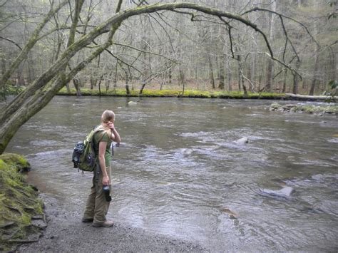 Image result for Real Humdinger