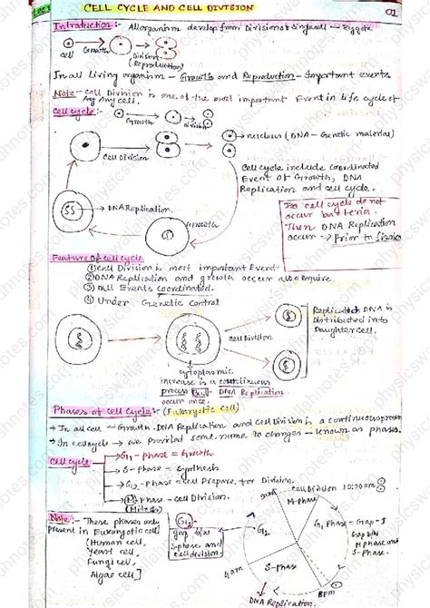 BICST 01 Cell Cycle and Cell Division: Key Concepts and Phases - Studocu