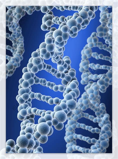 基因图片 的图像结果