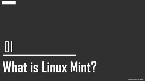 Mint Tutorial 的图像结果