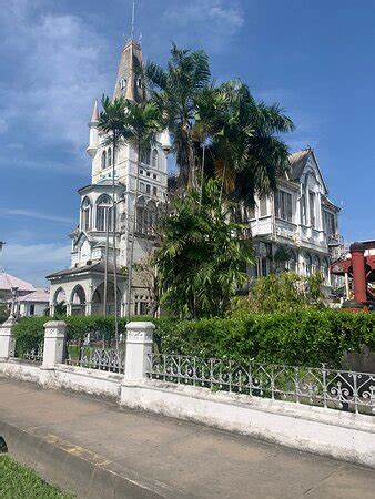 The Jungle Bug - Georgetown | Tripadvisor