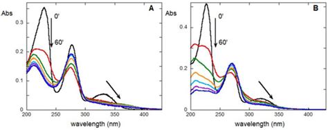 An Insight into the Degradation Processes of the Anti-Hypertensive Drug ...