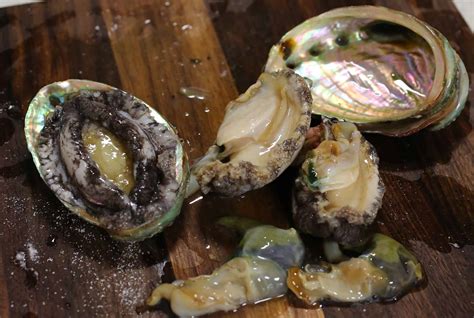 What Is Abalone Food at Will Cornish blog