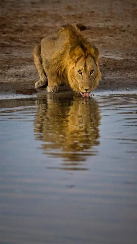 India E-Passport: Chip-based e-passports take off in India: A look at 7 ...