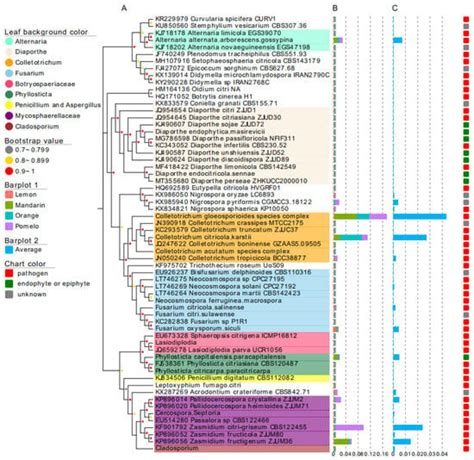 Profiling of the Citrus Leaf Endophytic Mycobiota Reveals Abundant ...