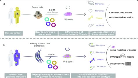 Image result for Chemical Reprogramming