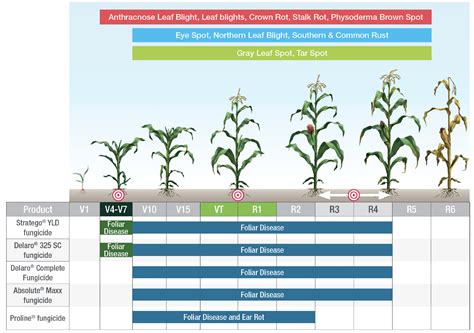 Managing Corn Diseases - Titan Pro
