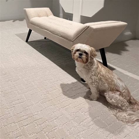 Engineered Floors, LLC on LinkedIn: #pet #purecolor #carpet #dwselect # ...