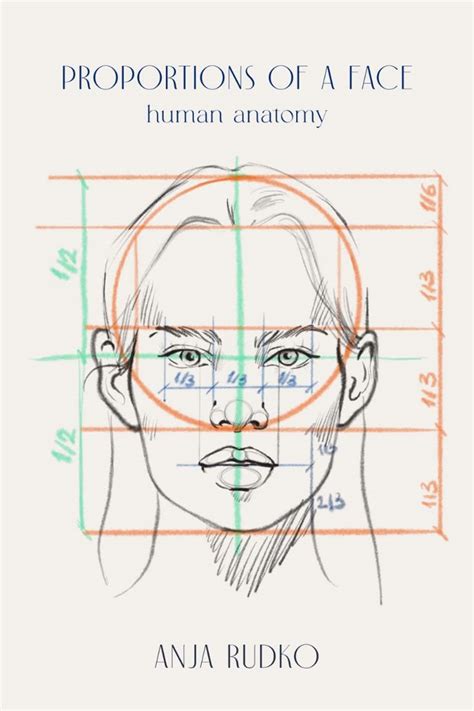 Image result for Face Proportion Tutorial