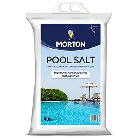 Image result for How to Use Pool Salt
