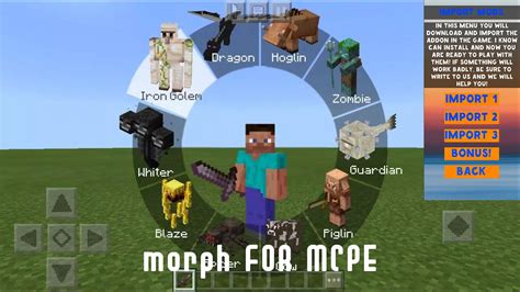 Image result for Minecraft Morph Mod Showcase